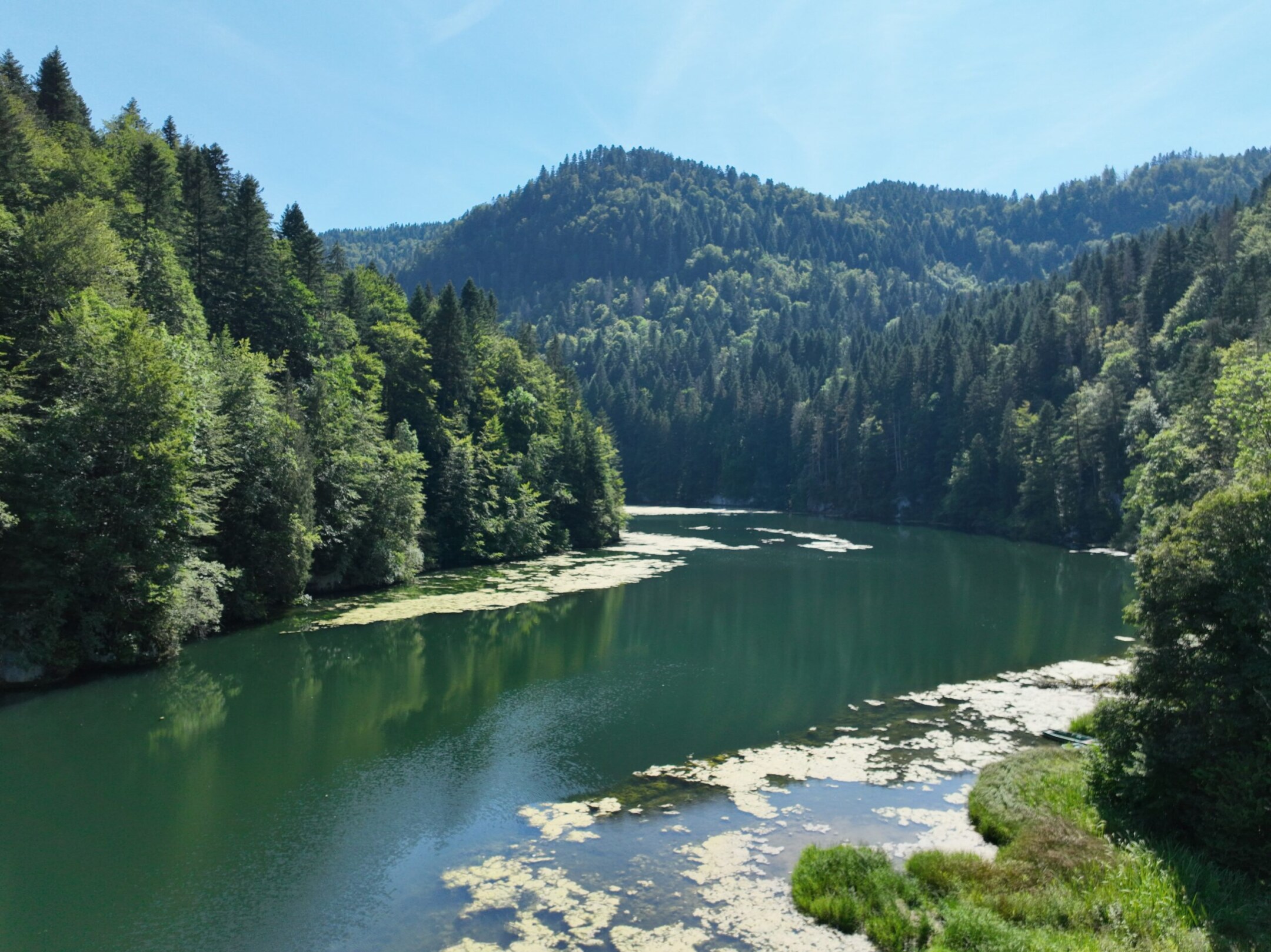 <?php echo pulse_output(); ?>